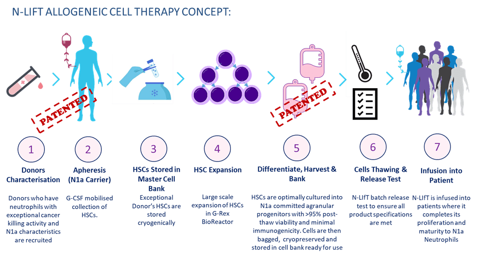 Fig 1. How N-LIfT is produced and envisaged to be administered to patients in the future